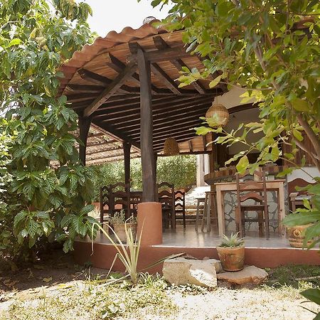 Hôtel Casa Huijazoo Nature & Balance à Mazunte Extérieur photo